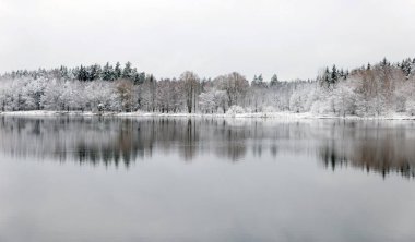 Beyaz kış manzara göl ormanın içinde