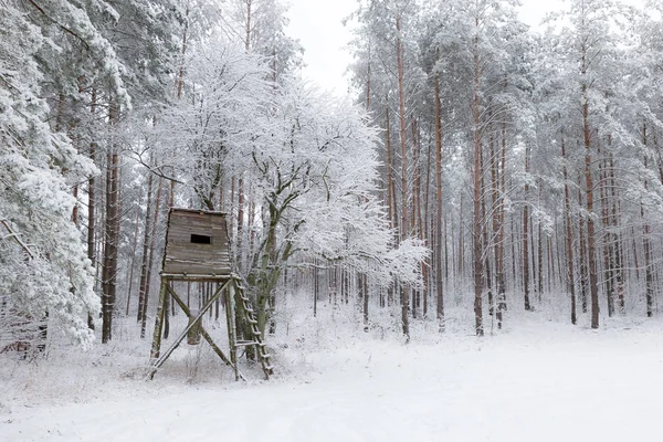 Paisagem Branca Inverno Floresta — Fotografia de Stock