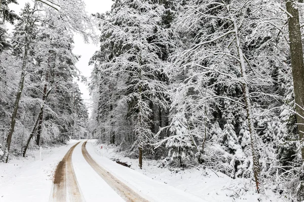 Ormandaki Beyaz Kış Manzarasında Yol — Stok fotoğraf