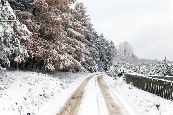 Ormandaki Beyaz Kış Manzarasında Yol — Stok fotoğraf