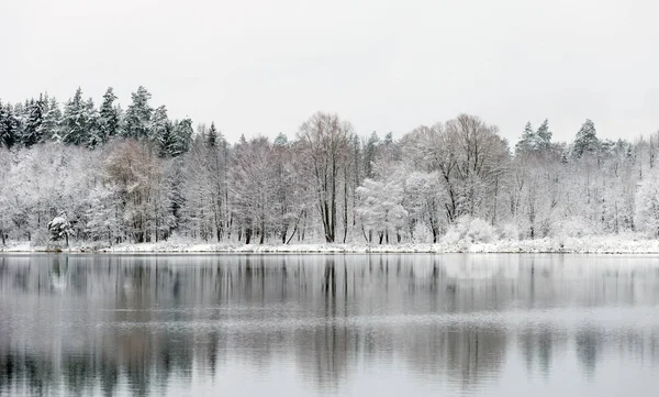 Witte Winter Landschap Meer Het Bos — Stockfoto