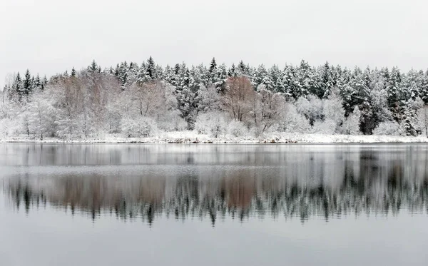 Beyaz kış manzara göl ormanın içinde — Stok fotoğraf