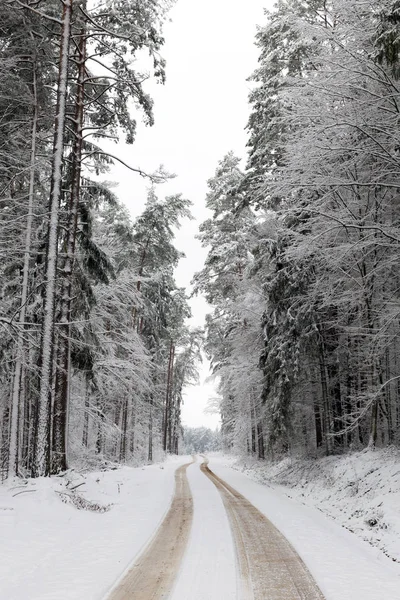 Ormandaki Beyaz Kış Manzarasında Yol — Stok fotoğraf