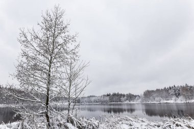 Beyaz kış manzara göl ormanın içinde