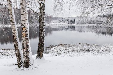 Beyaz kış manzara göl ormanın içinde