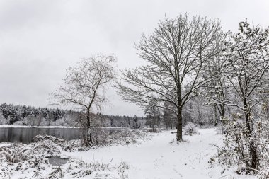 Beyaz kış manzara göl ormanın içinde