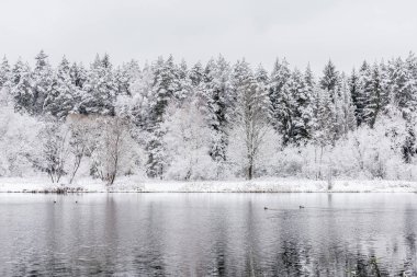 Beyaz kış manzara göl ormanın içinde