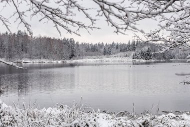 Beyaz kış manzara göl ormanın içinde