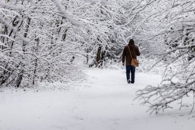 Ormandaki beyaz kış manzarasında yol. 