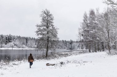 Beyaz kış manzara göl ormanın içinde