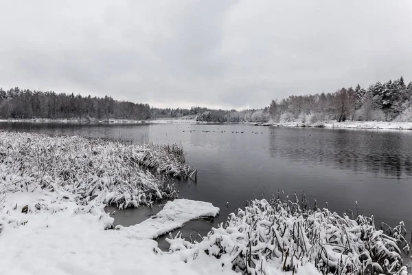 森の中の白い冬風景の湖 — ストック写真