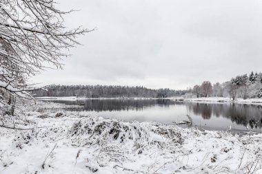 Beyaz kış manzara göl ormanın içinde