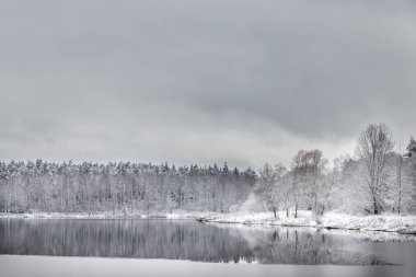 Beyaz kış manzara göl ormanın içinde
