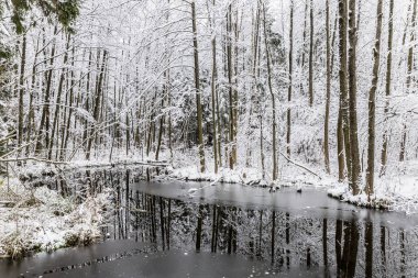 Beyaz kış manzara göl ormanın içinde