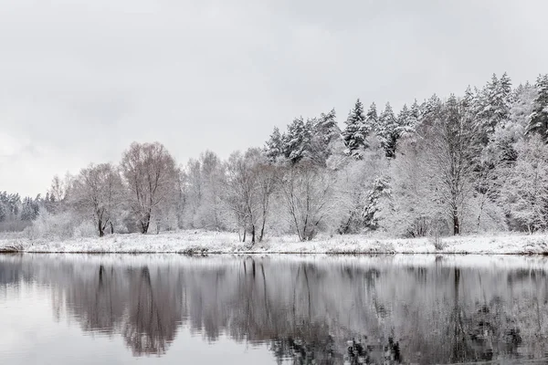 Beyaz kış manzara göl ormanın içinde — Stok fotoğraf