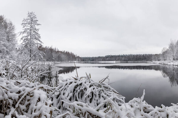 White winter landscape lake in the forest