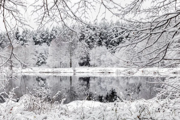 Beyaz Kış Manzara Göl Ormanın Içinde — Stok fotoğraf