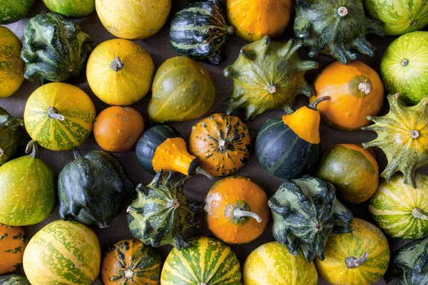 Kürbisse Textur - Herbst dekorativen Hintergrund — Stockfoto