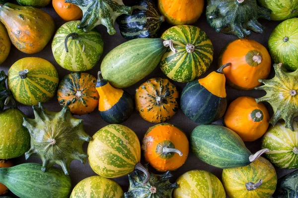 Pumpor textur - höstens dekorativa bakgrund — Stockfoto