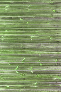 Doğal desenli eski yeşil ahşap doku.