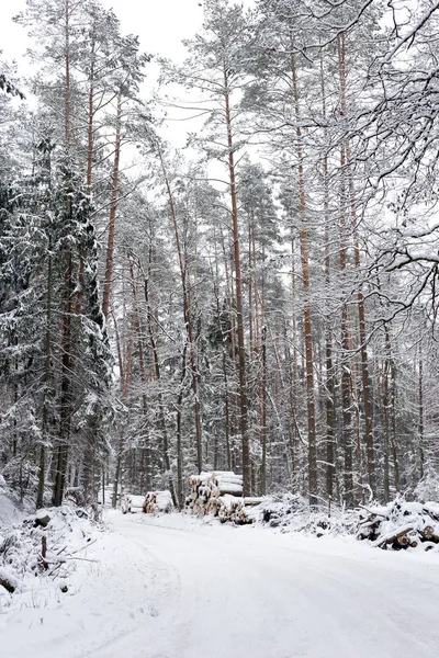 Ormandaki beyaz kış manzarasında yol. — Stok fotoğraf