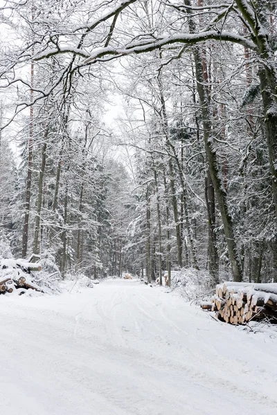Estrada Paisagem Inverno Branco Floresta — Fotografia de Stock