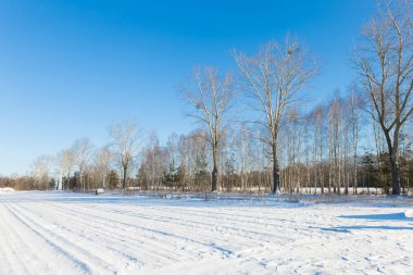 Ormandaki beyaz kış manzarasında yol. 