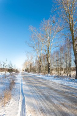 Ormandaki beyaz kış manzarasında yol. 