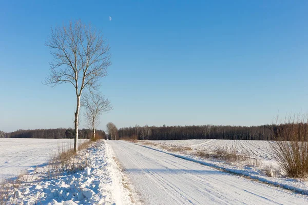 Weg Bij Witte Winterlandschap — Stockfoto