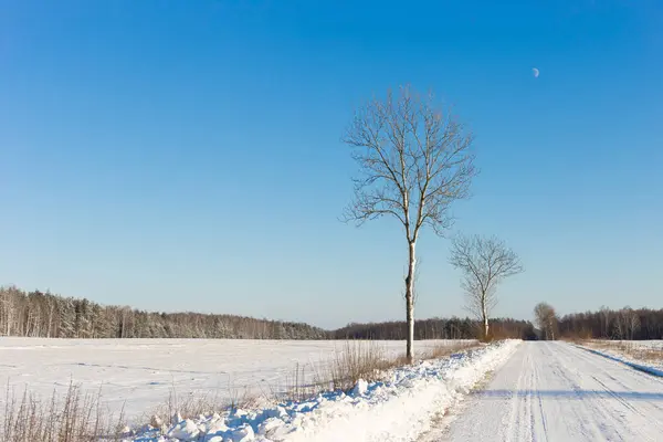 Ormandaki beyaz kış manzarasında yol. — Stok fotoğraf