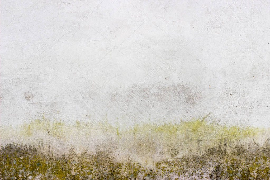 Old grunge textures backgrounds. Perfect background with space.