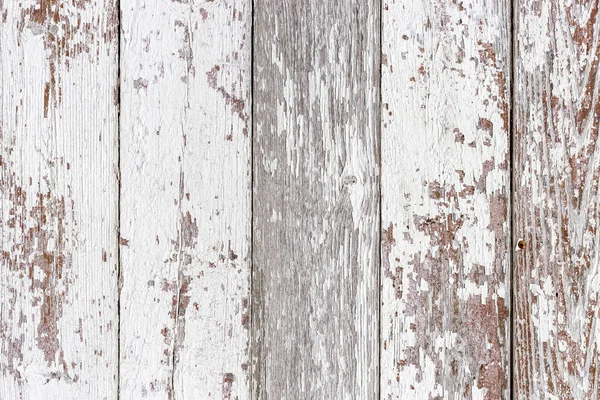 La texture in legno bianco con motivi naturali sfondo — Foto Stock