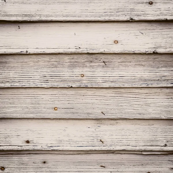 Το λευκό ξύλο υφή με παρασκήνιο φυσικά σχέδια — Φωτογραφία Αρχείου