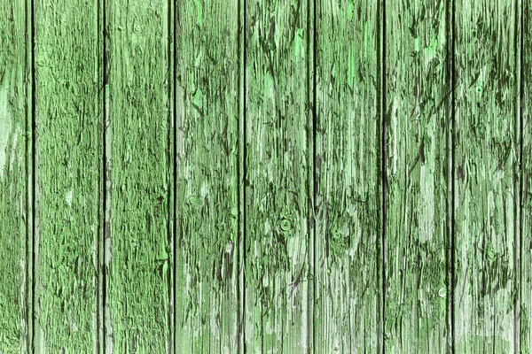 Vanha vihreä puu rakenne luonnon kuvioita — kuvapankkivalokuva