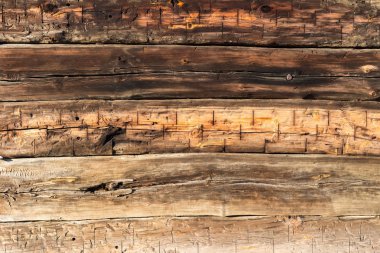 Doğal desenli eski ahşap doku.