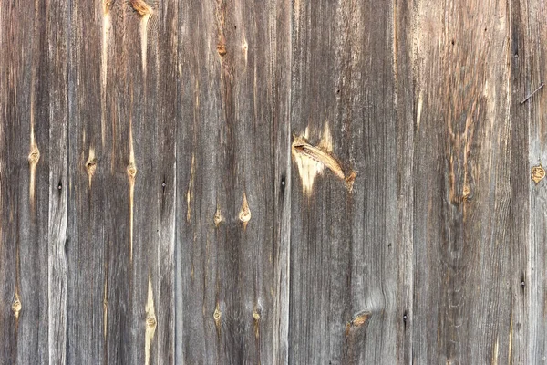 La texture de vieux bois avec des motifs naturels — Photo