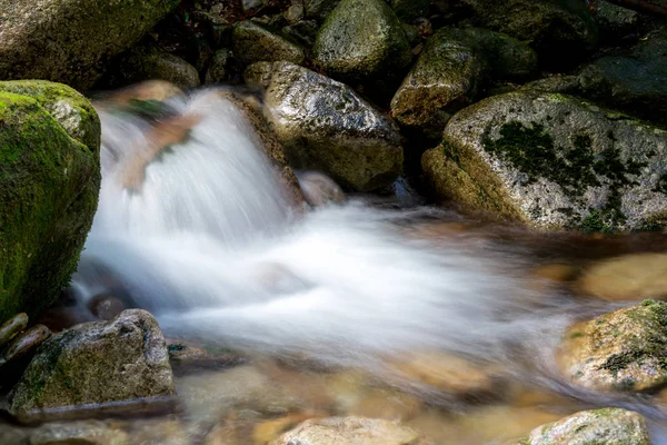 계 류와 돌으로 맑은 물 — 스톡 사진