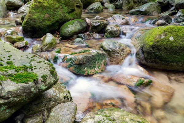 계 류와 돌으로 맑은 물 — 스톡 사진