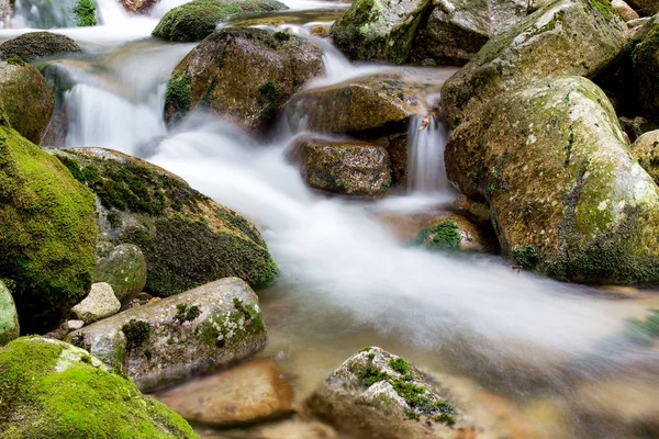 Corriente de montaña con piedras con agua clara — Foto de Stock