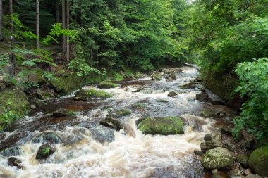 Dağ dere taşları ile olan temiz su
