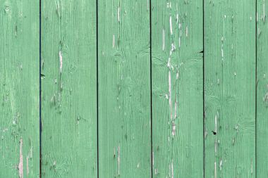 Doğal desenli eski yeşil ahşap doku.