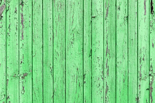 La texture de vieux bois vert avec des motifs naturels — Photo