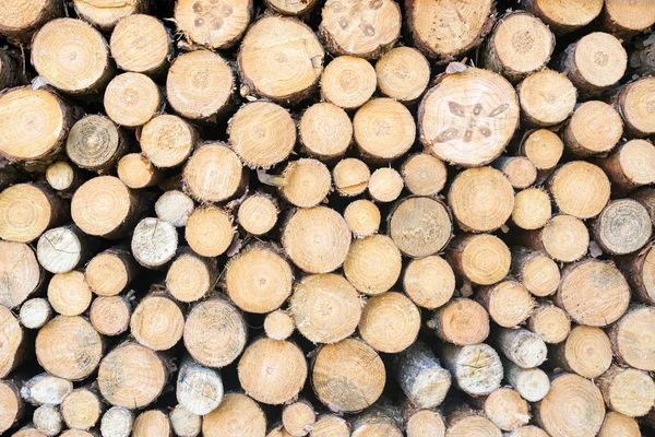 Téli Fából Készült Rönkök — Stock Fotó