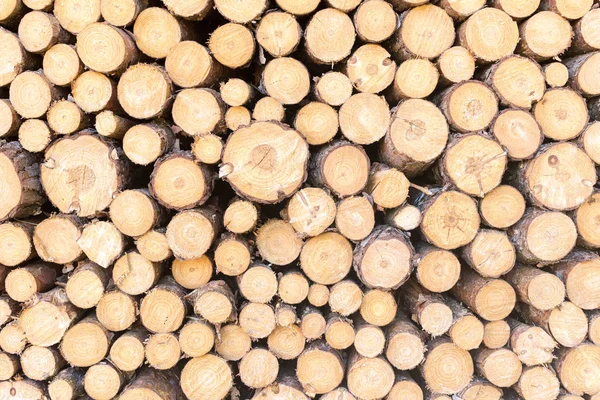 Téli Fából Készült Rönkök — Stock Fotó