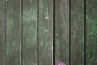 Doğal desenli eski yeşil ahşap doku.