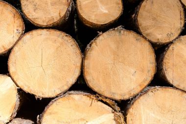 Kışa hazır odun yığını