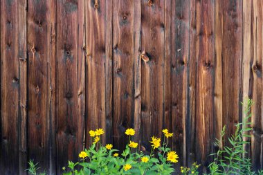 Doğal desenli eski ahşap doku.