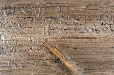Doğal desenli eski ahşap doku.
