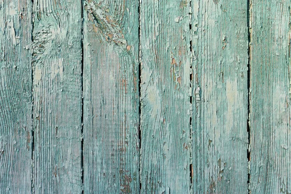 La texture de vieux bois vert avec des motifs naturels — Photo