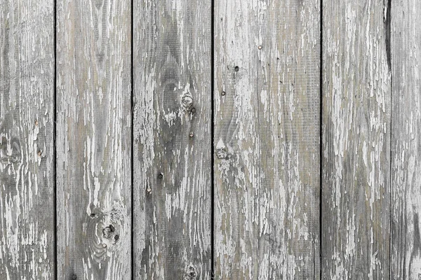 A textura de madeira branca com padrões naturais fundo — Fotografia de Stock